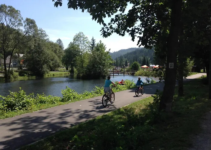 Villa Wisla בית הארחה *